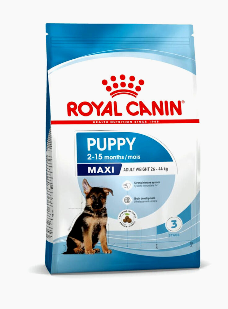 Maxi Puppy cane Royal Canin