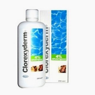 ICF Clorexyderm Shampoo 4% 250 ml