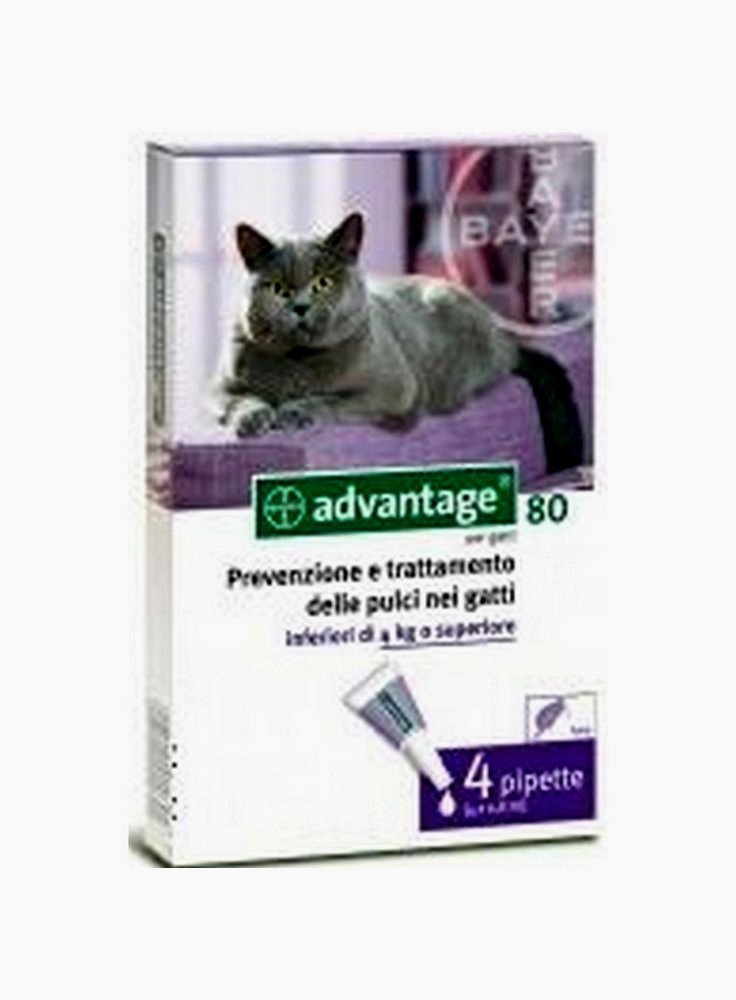 Antiparassitario per gatti ADVANTAGE SPOT ON 80 per gatti