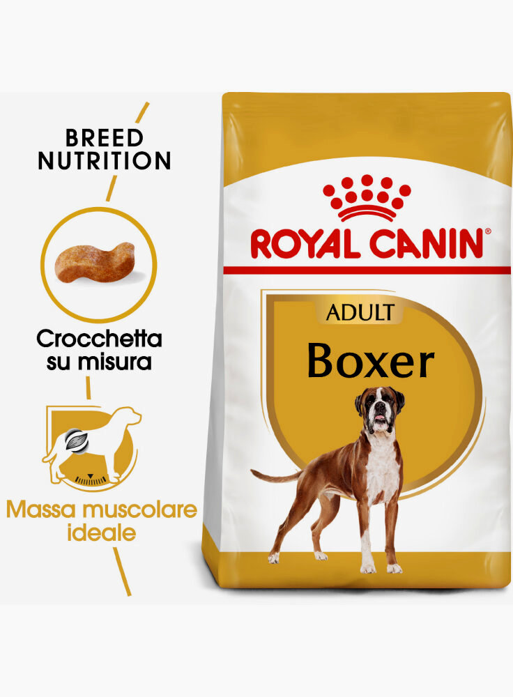 boxer-adult-royal-canin-3-kg