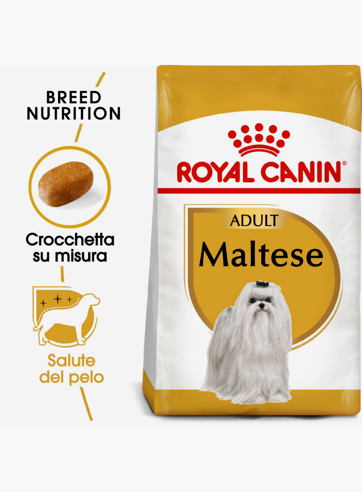 maltese-royal-canin-500-gr