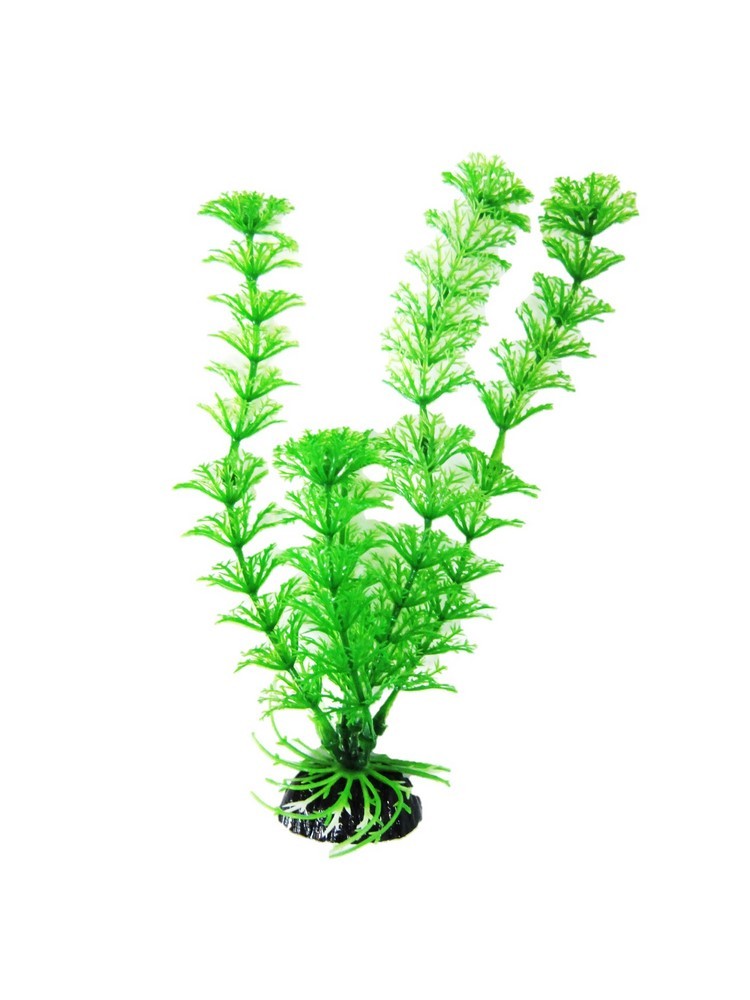 Cabomba pianta ornamentale in plastica per acquari (10cm)