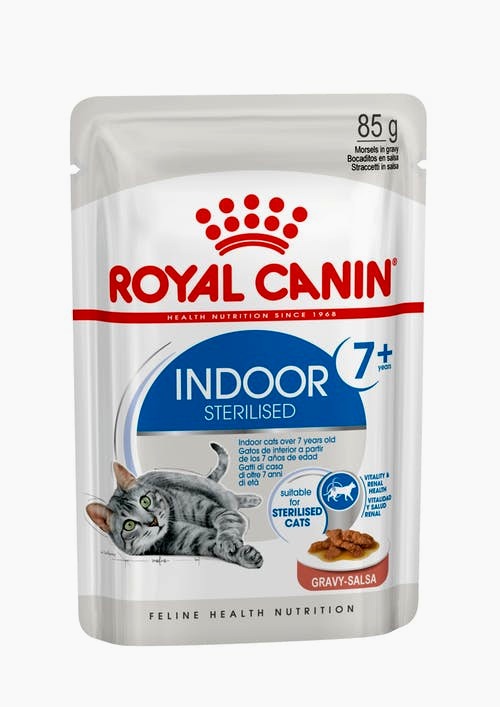 Royal canin buste indoor gelatina 12x85 Gr