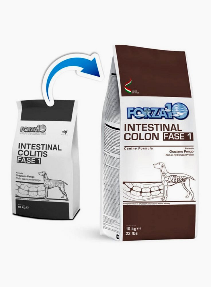 Forza 10 Intestinal colon (intestinal colitis) Fase 1 per cani 4 Kg