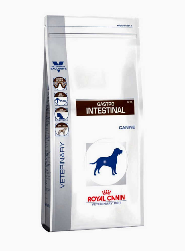 18100602_royal-canin-gastrointestinal-cane