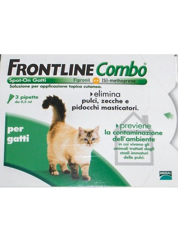 Frontline combo Gatto