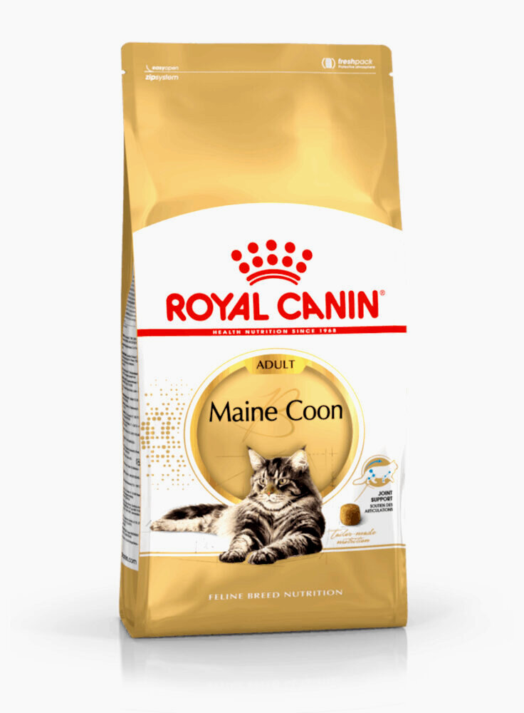 Maine Coon Royal Canin