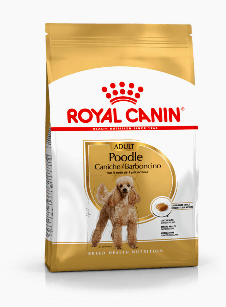 Barboncino POODLE Adult Royal Canin