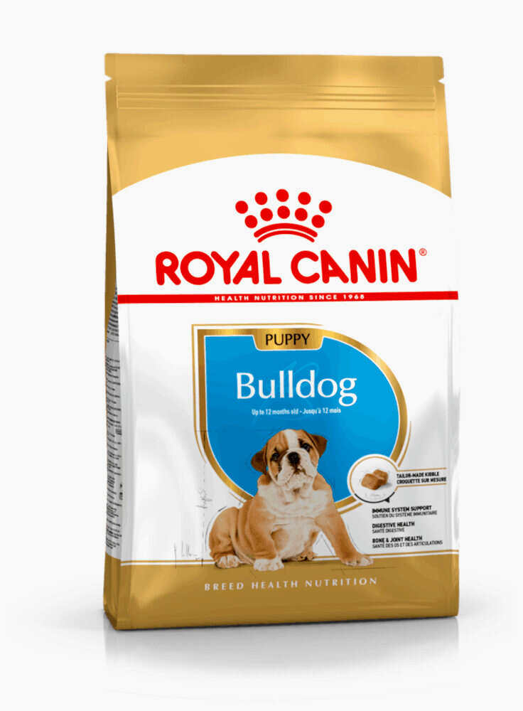 Bulldog puppy Royal Canin
