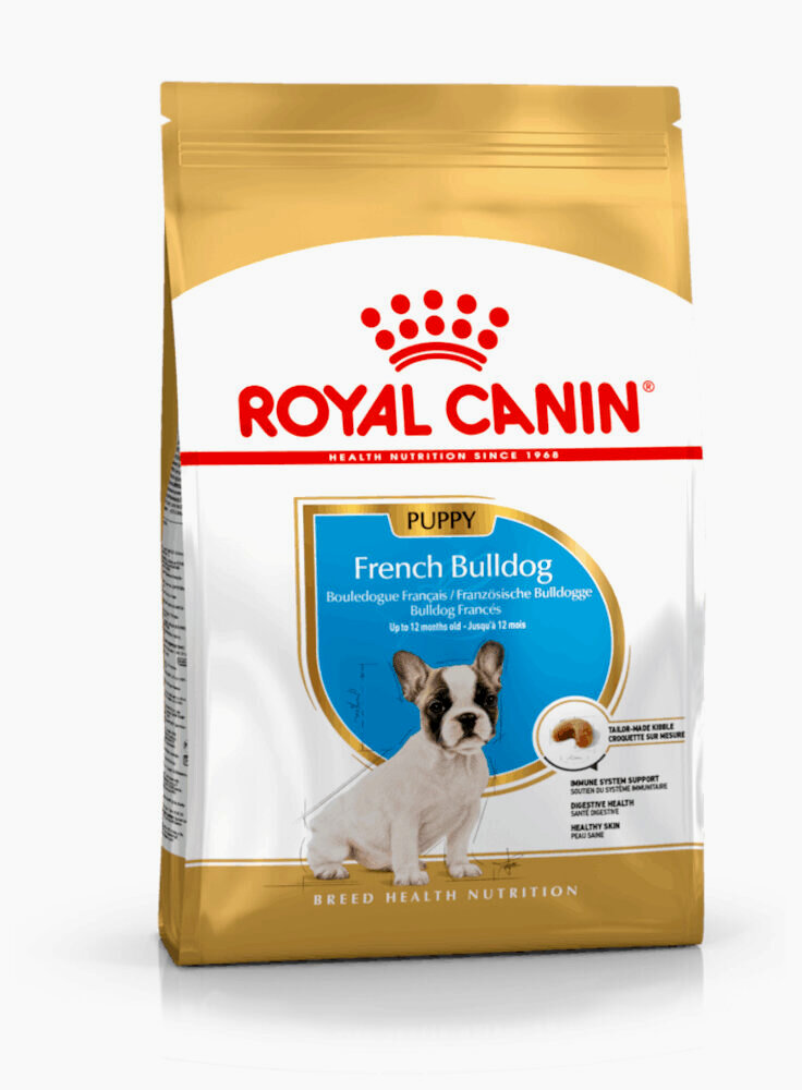 French Bulldog Puppy Royal Canin
