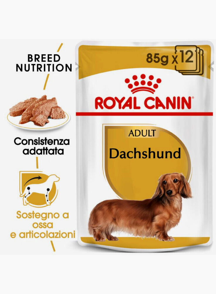 Bassotto DACHSHUND umido Royal Canin 12x85 gr