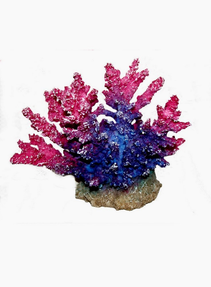 Decorazione per acquari Coral acropora viola