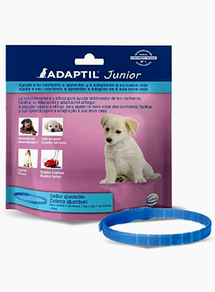 adaptil-junior-collare