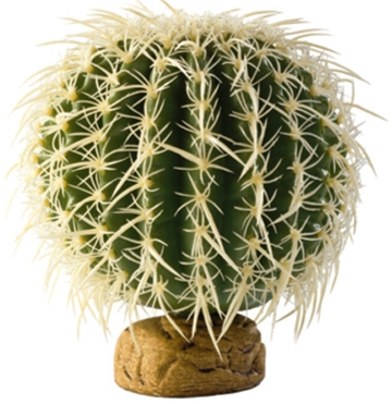barrelcactus