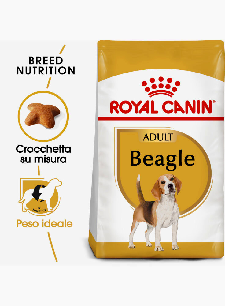 Beagle Adult Royal Canin