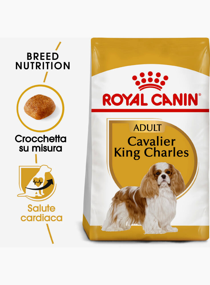 cavalier-king-charles-royal-canin-3-kg