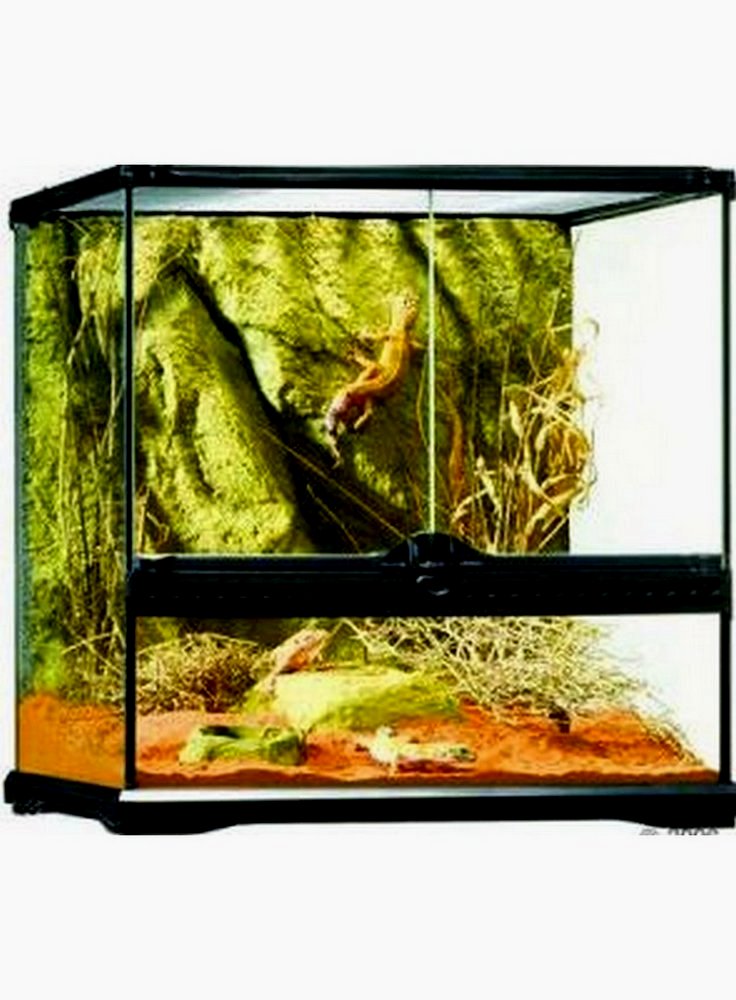 Glass terrarium exoterra 30x30x30h