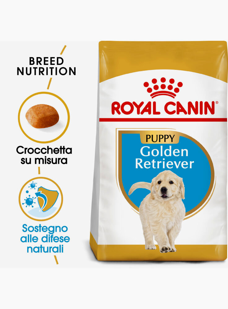golden-retriever-cuccioli-puppy-royal-canin-3-kg