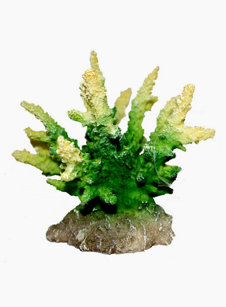 Decorazione per acquari Coral Hydnopora lime