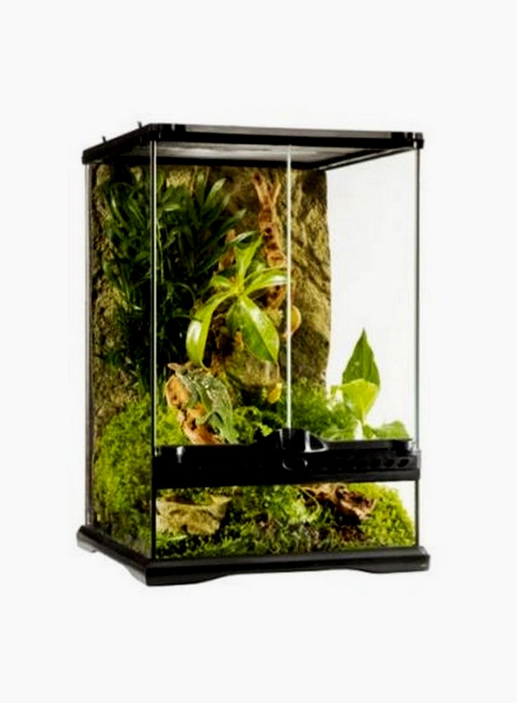 Glass terrarium exoterra 30x30x45h