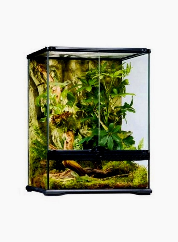 Glass terrarium exoterra 45x45x60h