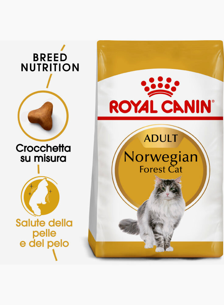 Norvegese delle foreste NORWEGIAN FOREST CAT Royal canin