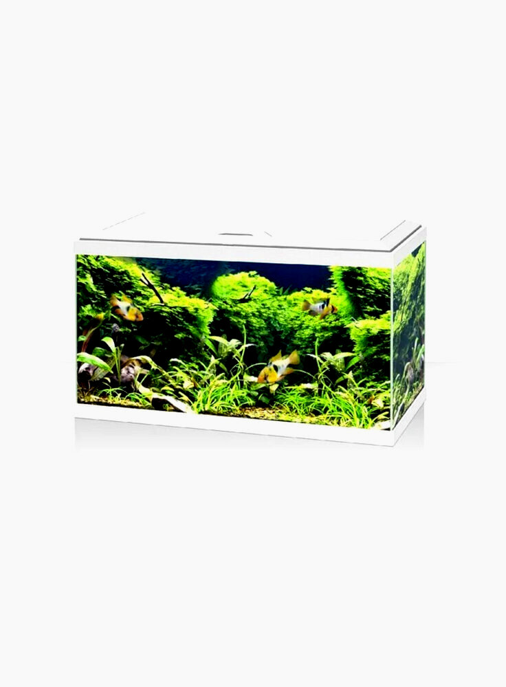 plancia-aquario-askoll-aqua-60-bianco-solo-coperchio