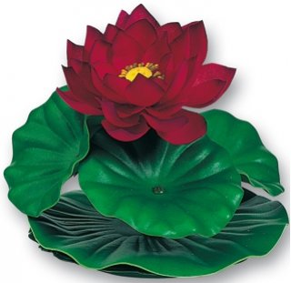 Askoll Tropical Lotus Large