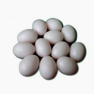 Uova finte per cova uccelli conf 10 pz