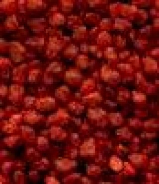 Quarzo ceramizzato per acquari Coral Decor rosso 2.5 Kg