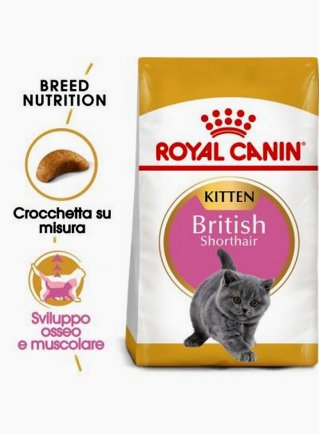 British Shorthair Kitten Royal Canin 400g