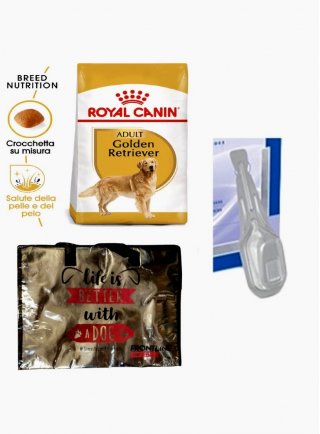 Golden Retriever Adult Royal Canin 12 Kg