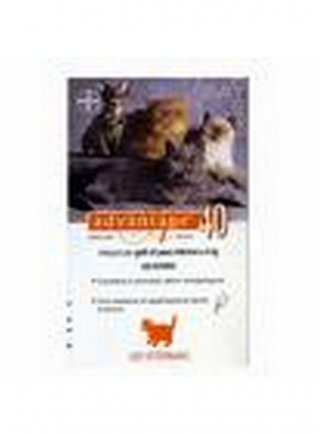 Bayer Advantage  Antiparassitario per gatti 40-Fino a 4 kg