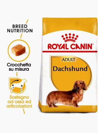 Bassotti DACHSHUND Adult Royal Canin 7,5 Kg