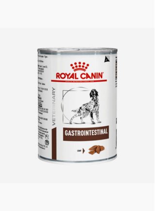 Gastro Intestinal umido cane Royal Canin 400 gr