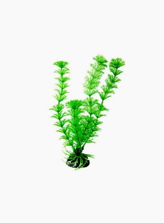 Cabomba pianta ornamentale in plastica per acquari (10cm)