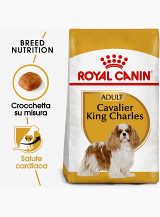 Cavalier King Charles Royal Canin 7,5 kg