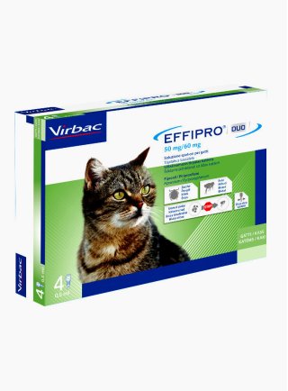 EFFIPRO DUO 50MG/60MG SOL. SPOT ON GATTO X4