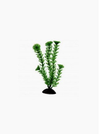 Cabomba pianta ornamentale in plastica 20cm Ferplast BLU 9060
