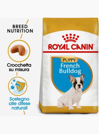 French Bulldog Puppy Royal Canin 3 Kg