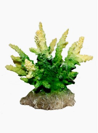 Decorazione per acquari Coral Hydnopora lime