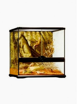 Glass terrarium exoterra 45x45x45h