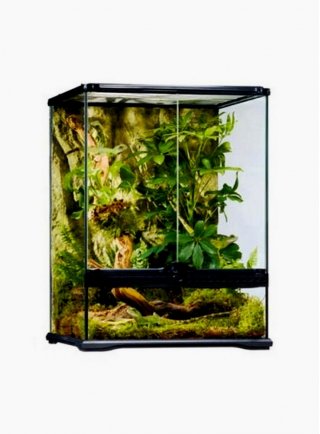 Glass terrarium exoterra 45x45x60h