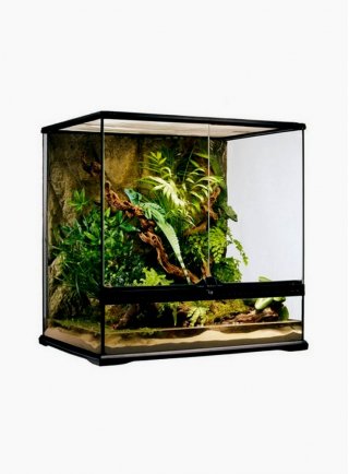 Glass terrarium exoterra 60x45x30h