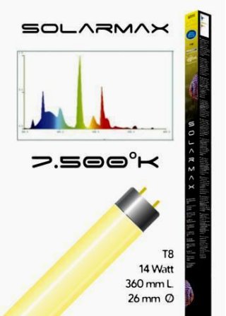 Lampada t8 Solarmax 7.500 k 36w/1198mm