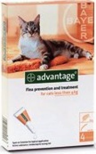 Bayer Advantage  Antiparassitario per gatti