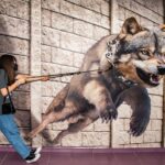 Cane al guinzaglio che tira, evidenziando un errore comune nei padroni durante le passeggiate.