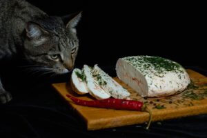 Lista degli alimenti pericolosi da evitare per la salute del gatto.