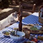 Gatto che mangia croccantini estivi in un ambiente soleggiato.