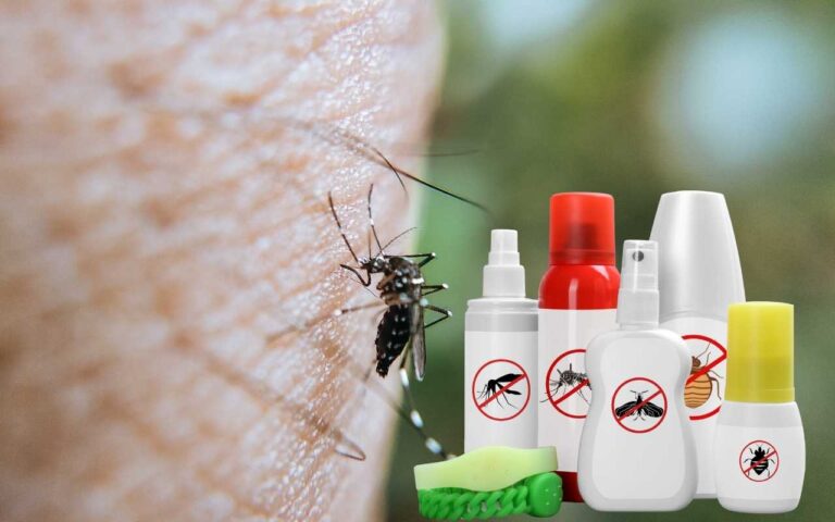 Miglior repellente per zanzare: ecco quale usare, lo sapevi?